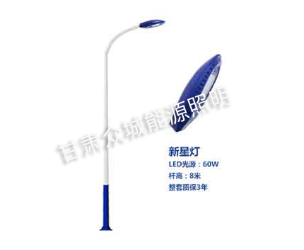 和静爆款市电路灯